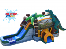 Dinosaur Bounce House With Slide Wet/Dry