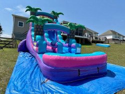 WhatsApp20Image202024 07 2520at208.36.3620PM201 1721959362 16′ Pink Paradise Single Lane Water Slide